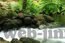 成人黄色视频网站大全-成人世界的一扇窗,探索成人黄色视频网站的多元面貌