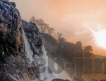 免费成人视频app-消费的新趋势,免费成人视频APP的崛起与影响